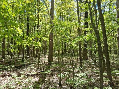 Lot 8 High Bluff Estates Rd, Sturgeon Bay, WI 54235