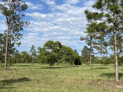 16.12 Acre Bethcar Church Road, Wagener, SC 29164