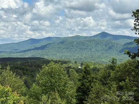 113 Valley View Trail 323, Nebo, NC 28761