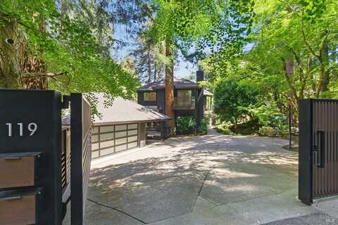 119 Marguerite Avenue, Mill Valley, CA 94941