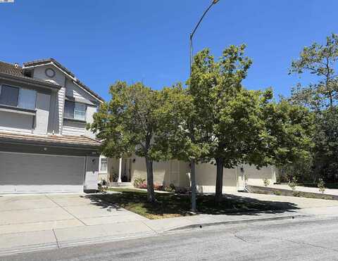 122 Lynx Ct, Fremont, CA 94539