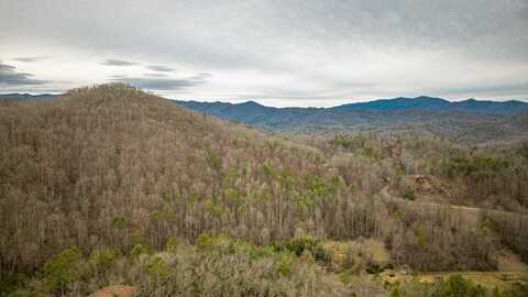 Scarlett Oak Ridge, Bryson City, NC 28713