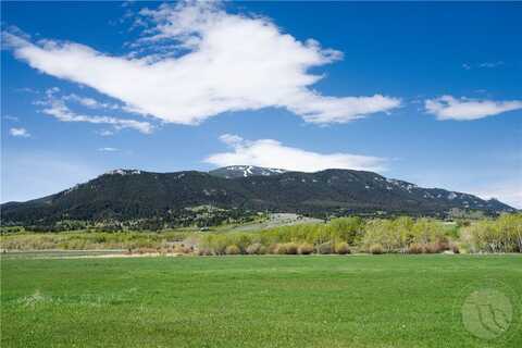 Nsn Bear Run Lane, Red Lodge, MT 59070