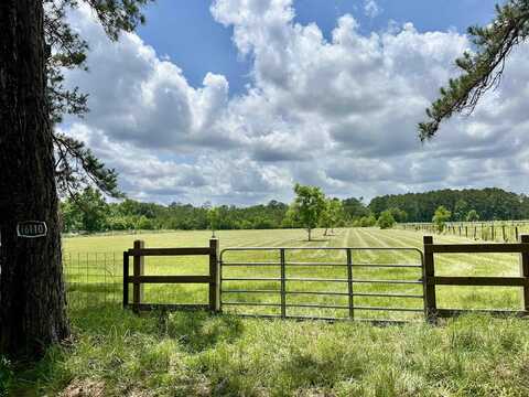 16110 G W Jones Sr Rd, Sour Lake, TX 77659