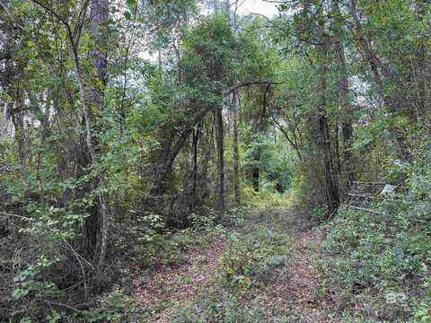 0 County Road 97, Elberta, AL 36530