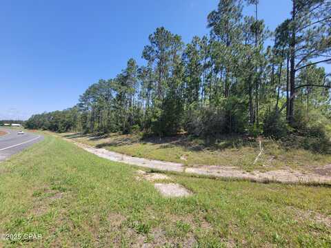 Tbd US-231, Alford, FL 32420