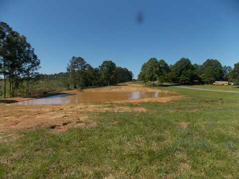 00 C E NORMAN RD, Lincolnton, GA 30817