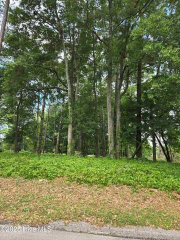 1629 Colonist Square SW, Ocean Isle Beach, NC 28469