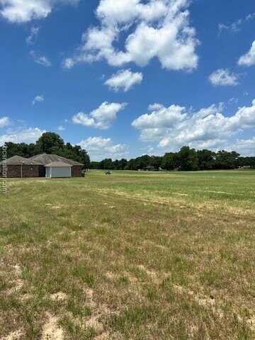 Tbd GOLFVIEW Drive, Hilltop Lakes, TX 77871