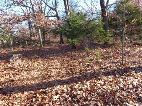 Hwy 135, Gravois Mills, MO 65037