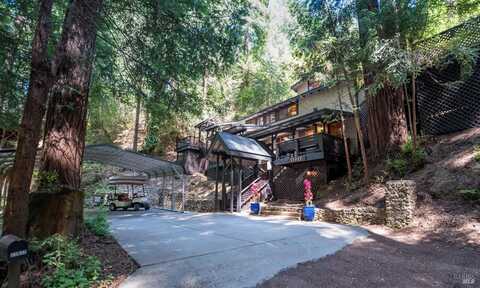 11917 Laurel Avenue, Forestville, CA 95436