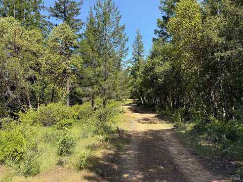 Moore Homestead Road, Philo, CA 95466
