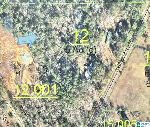 579 INGRAM WELLS ROAD, OHATCHEE, AL 36271