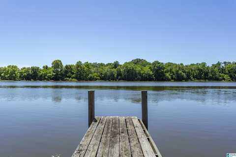 0 THOMAS LANE, CHILDERSBURG, AL 35044