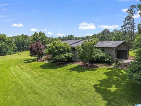 102 KATIE LANE, SPRINGVILLE, AL 35173