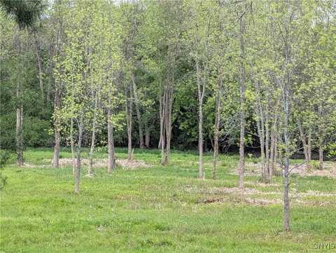 16744 Lot #2d Thompson Trail Drive, Brownville, NY 13634