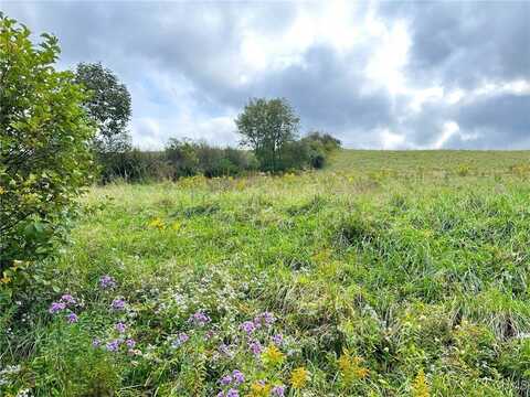 Buck Road, Otsego, NY 13337