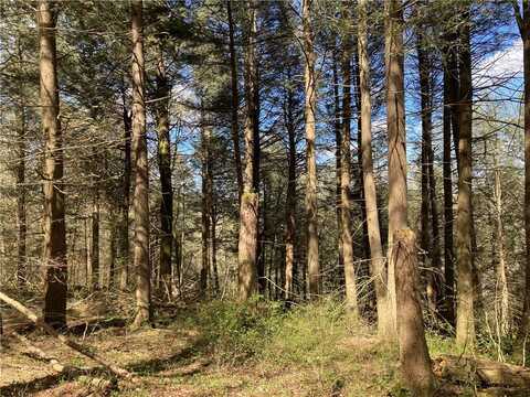 0 E Boulder Mountain Road E, Andes, NY 13731