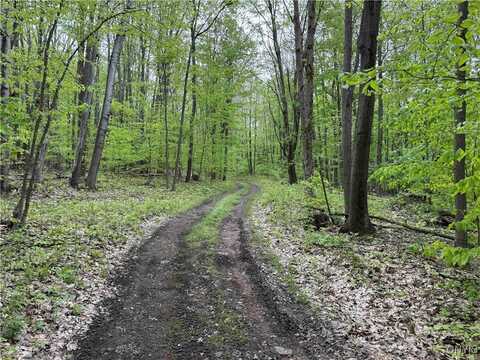 Jordan Hill Road, Clarksville, NY 14715