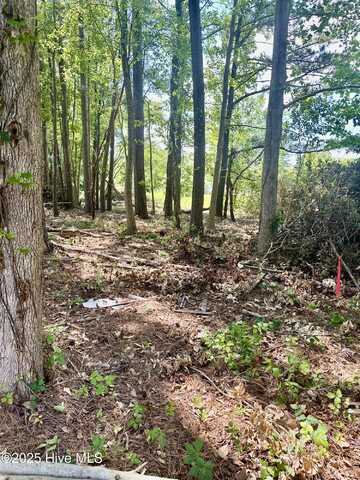 Near 107 Sykes Street, Tabor City, NC 28463