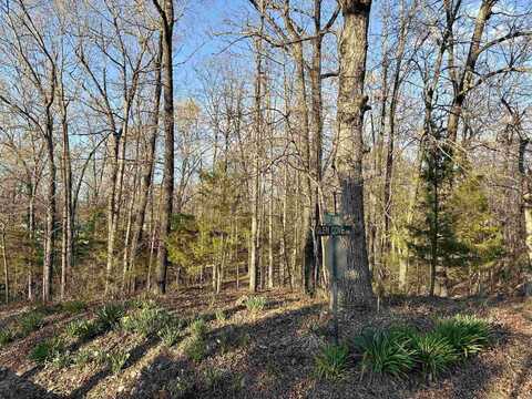 TBD Glen Cove Drive, Lakeview, AR 72642