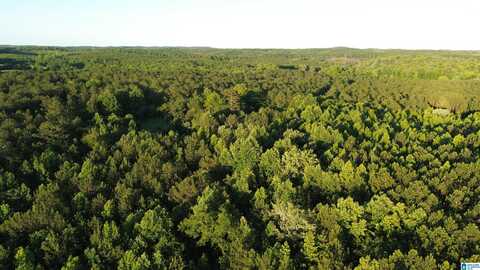 0 BLUFF SPRINGS ROAD, ASHLAND, AL 36251