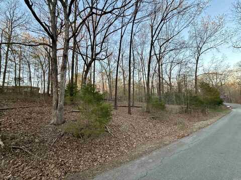 TBD Glen Cove Circle, Lakeview, AR 72642