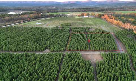 Tract 9 Serenity Lane, Mena, AR 71953