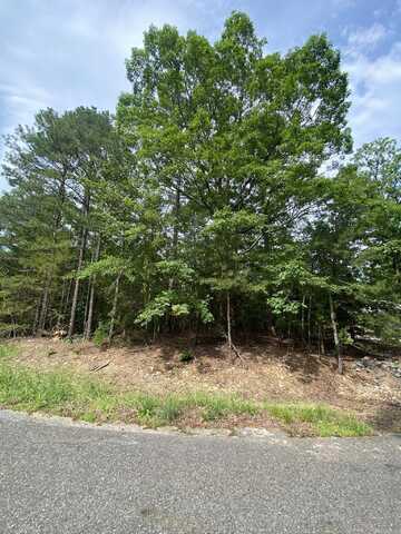 102 Salvatierra Way, Hot Springs Village, AR 71909