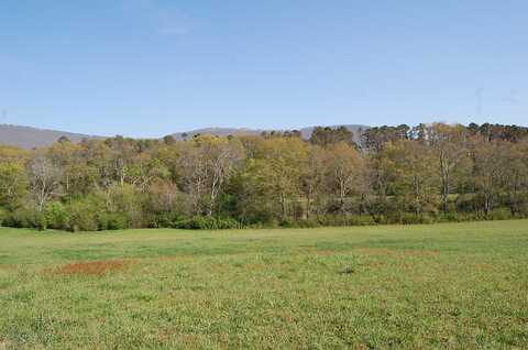 101 Pinnacle Point Drive, Dunlap, TN 37327