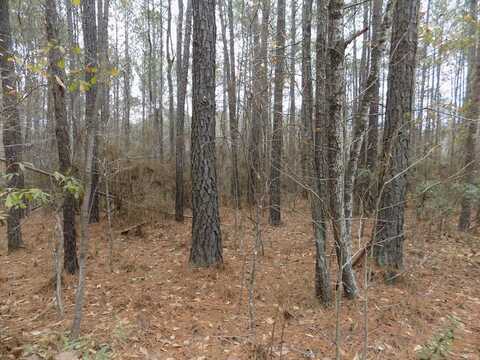 MULLINS ROAD, HAMILTON, GA 31811