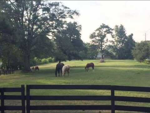 6601 PSALMOND ROAD, MIDLAND, GA 31820