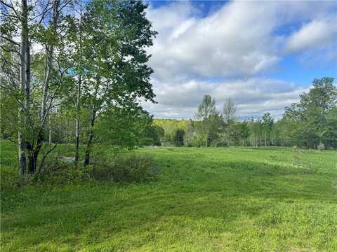 Lot 11 Meadow Brook Drive, Middletown, NY 12455