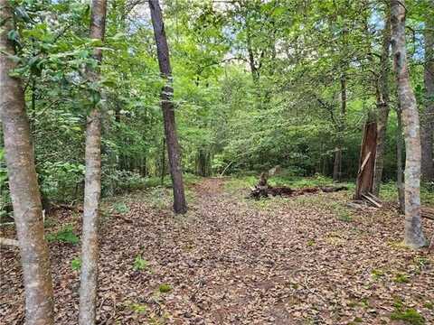 .52 Ac Pine Trail, Gloucester, VA 23061
