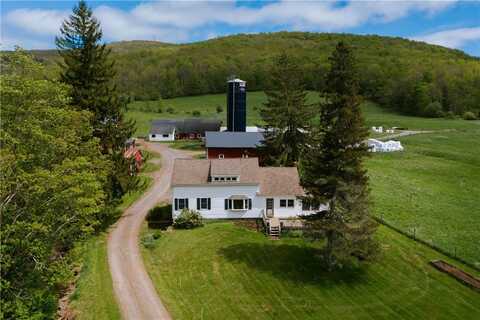 2400 Gladstone Hollow Road, Andes, NY 13731