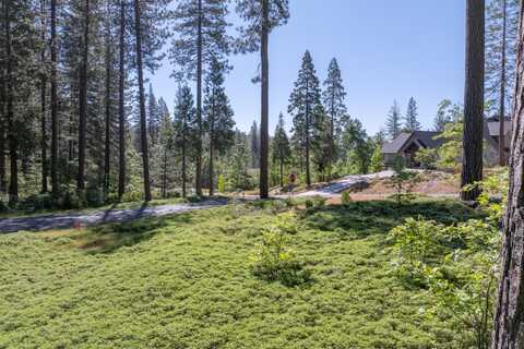 Vireo Way, Avery, CA 95224