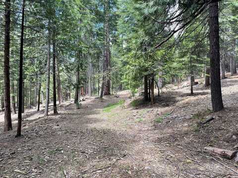 37 Iroquois Drive, Camp Connell, CA 95223