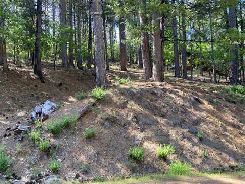 2946 Venado Drive, Arnold, CA 95223