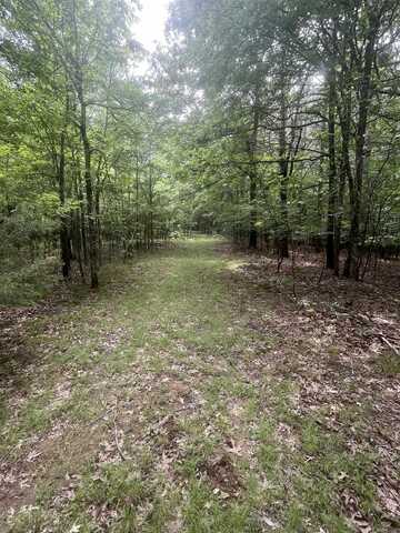 83 Acres Greene 402 Rd, Lafe, AR 72443