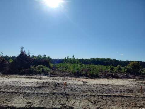 TBD Albatross Rd, Georgetown, SC 29440