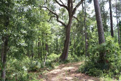 1030 Lantana Circle, Georgetown, SC 29440