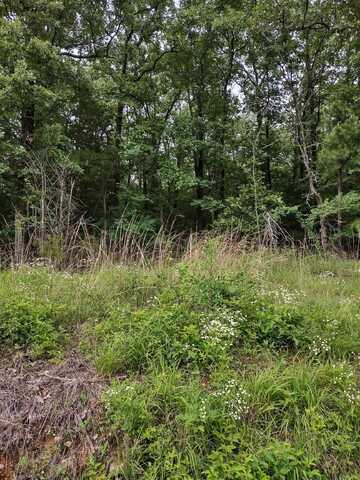 LOT 8 CIRCLE DRIVE, Mayflower, AR 72106