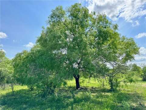 000 Old ST Mary's Road, Beeville, TX 78102