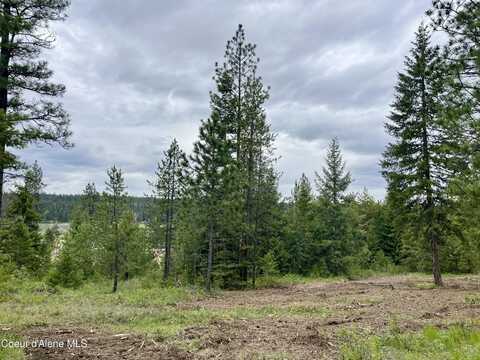 12 Acres Elizabeth Lane, Athol, ID 83801