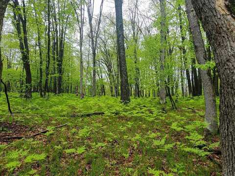 Lot 606 Timber, Farwell, MI 48622