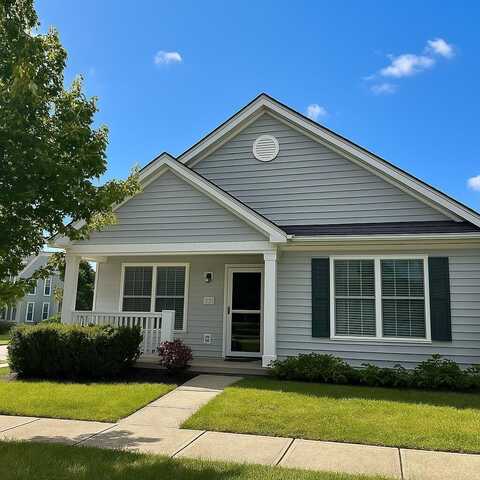 133 Holly Hock Lane, Lewis Center, OH 43035