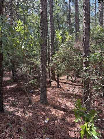 Lot 2 Gary Hallman Circle, Gilbert, SC 29070