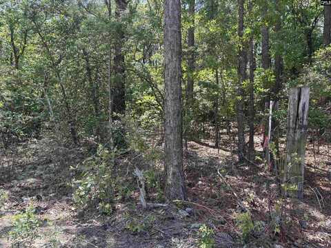 Lot 3 Gary Hallman Circle, Gilbert, SC 29070