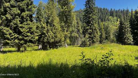 Nka Beaver Creek Rd, Wallace, ID 83873