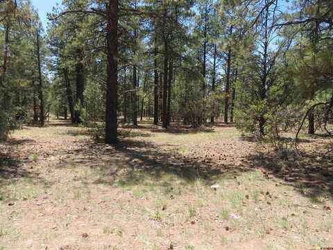 491 Crooked Road, Pagosa Springs, CO 81147